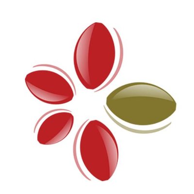 روضة أفكار البراعم