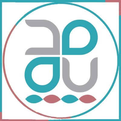 مدرسة الصديق الأولى