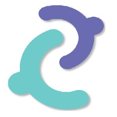 معهد حاوى البرمجة